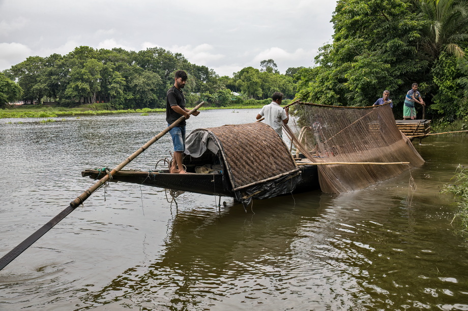 Otter Fishing in Bangladesh